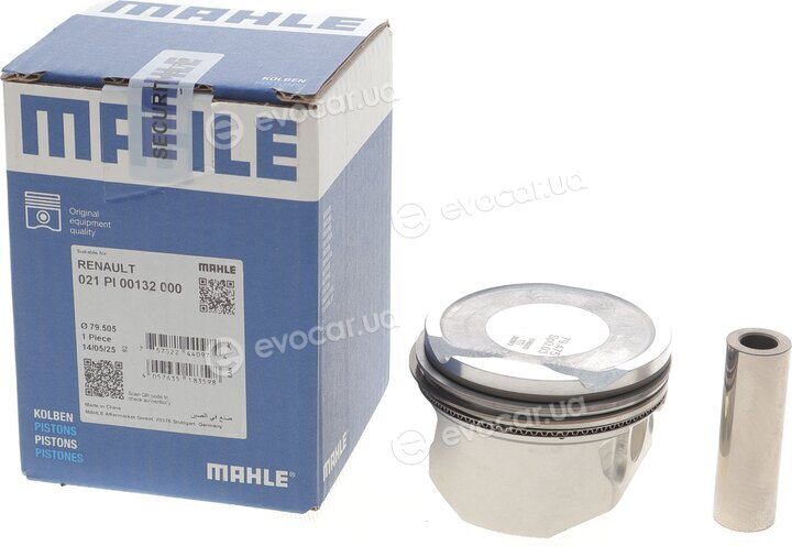 Mahle 021 PI 00132 000