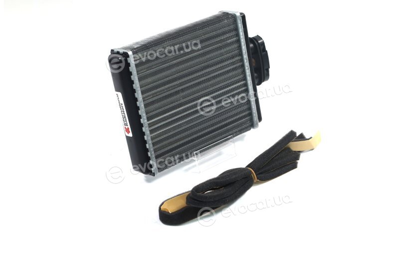 Van Wezel 58006196
