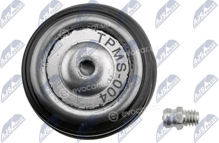 NTY ZST-MS-004