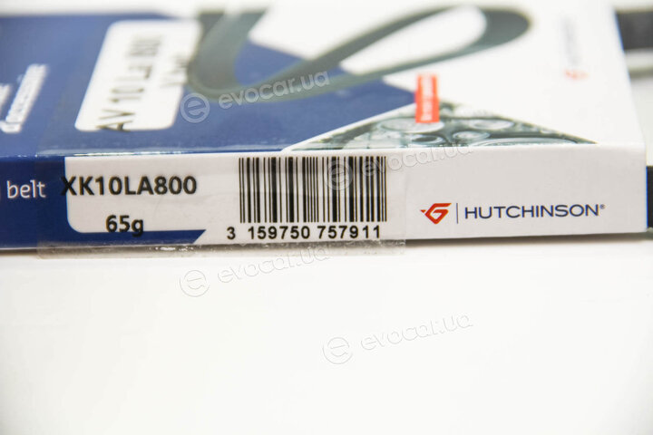 Hutchinson AV 10 La 800