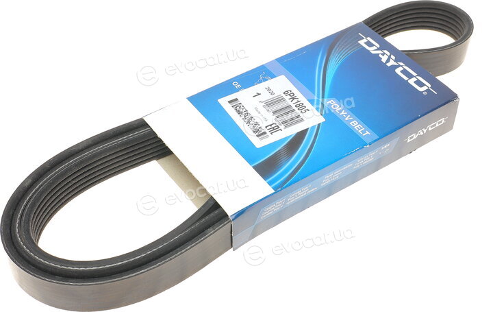 Dayco 6PK1805