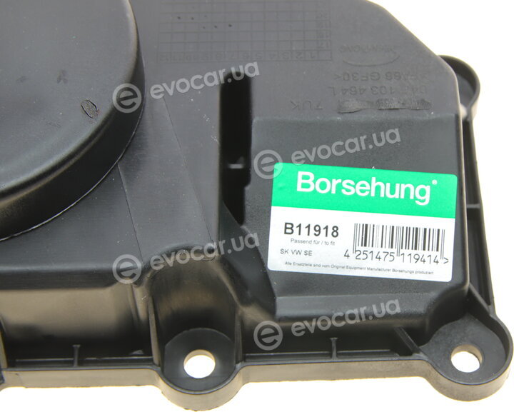 Borsehung B11918