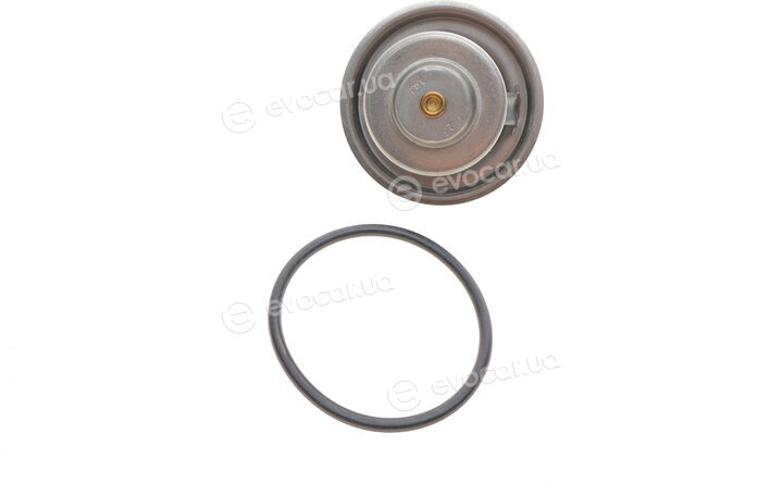 Wahler / BorgWarner 4105.71D