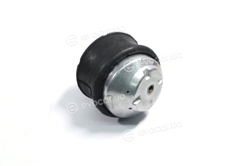 Sasic 9002555