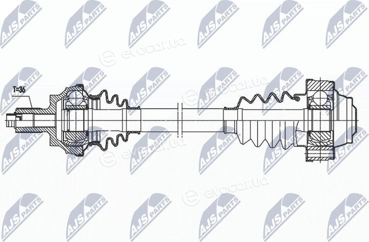 NTY NPW-VW-167