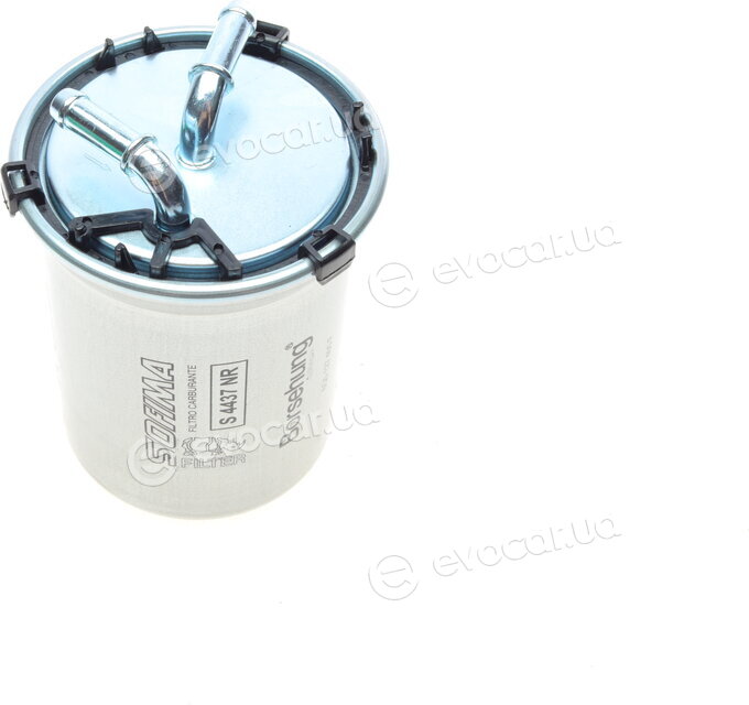 Borsehung B10475