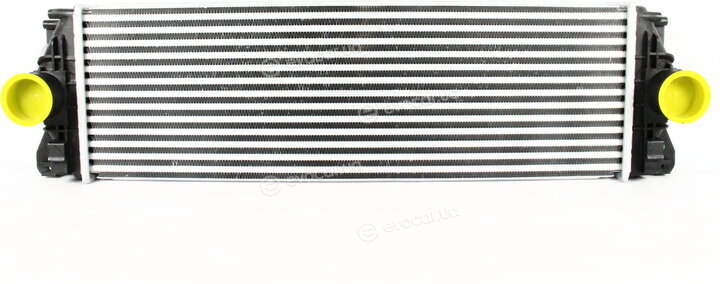 Zilbermann 04-806