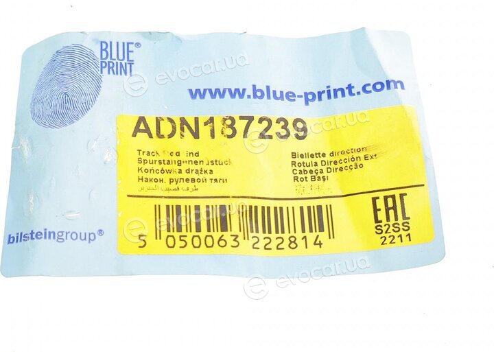 Blue Print ADN187239