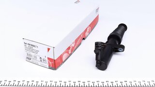 FTE 3102819