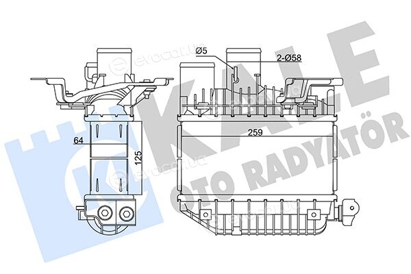 Kale 345135