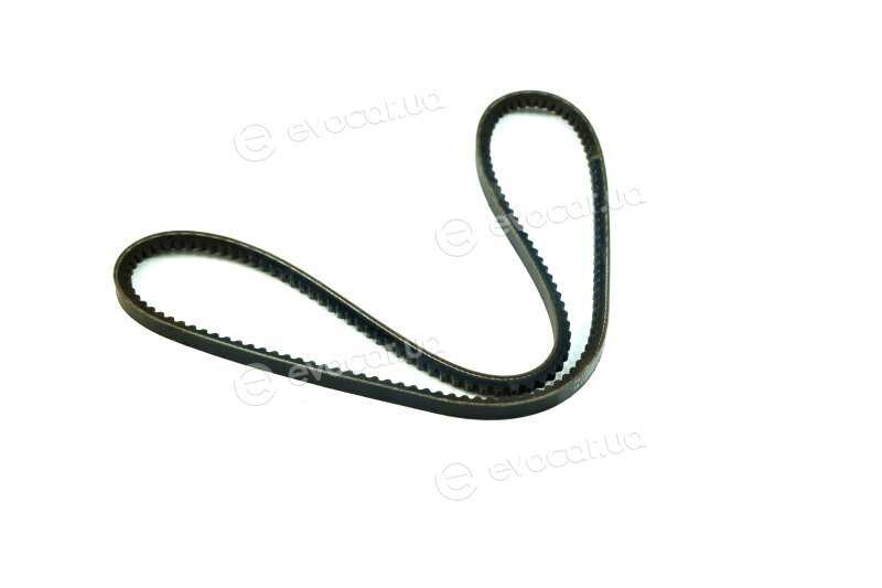 Dayco 10A1055C