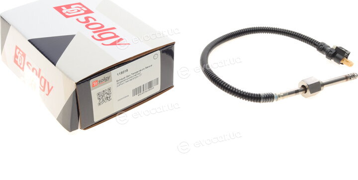 Solgy 115019