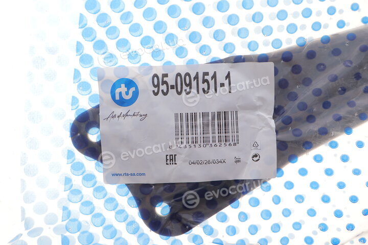 RTS 95-09151-1