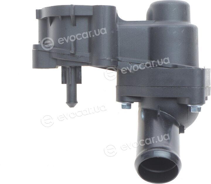 AIC 55638