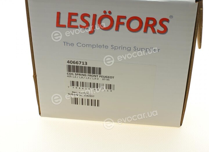 Lesjofors 4066713