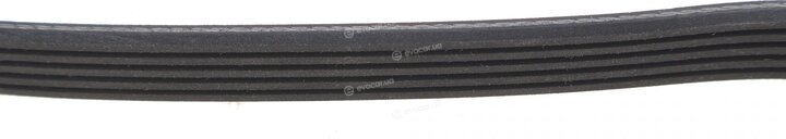 Dayco 5PK1175