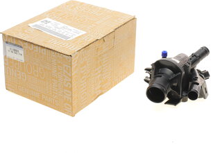 Renault / Nissan 110604371R