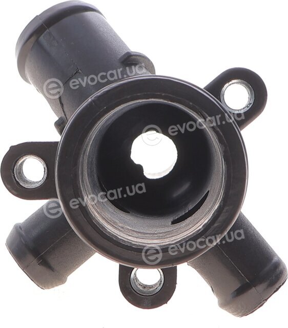 DP CS 2185 NİF