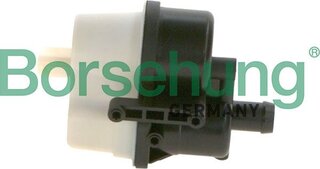 Borsehung B13441