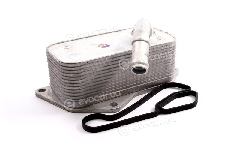 AVA BW3558