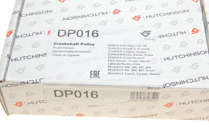 Hutchinson DP016