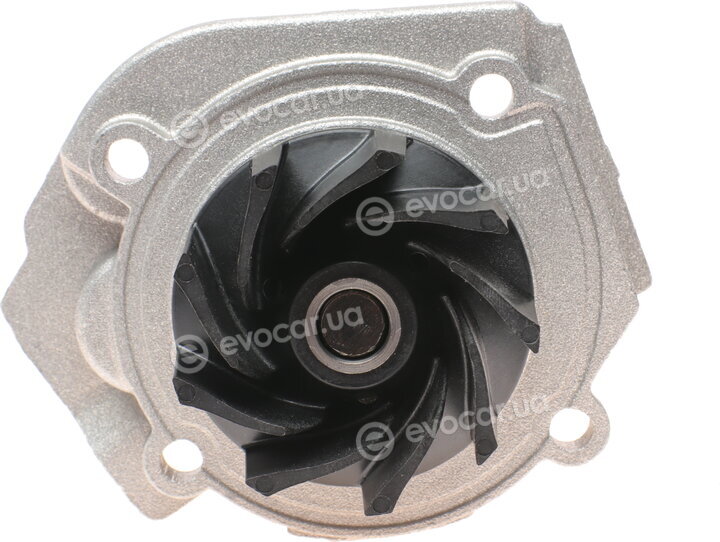 Dayco KTBWP2853