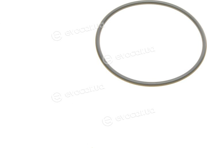 Borsehung B10533