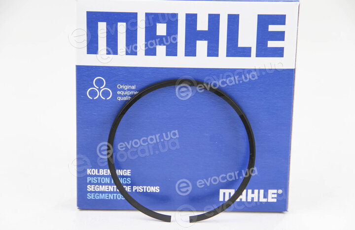 Mahle 009 81 N0