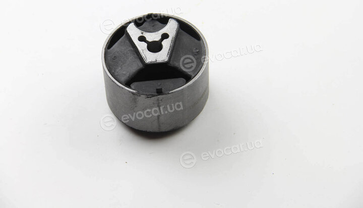 Metalcaucho / STC 05661