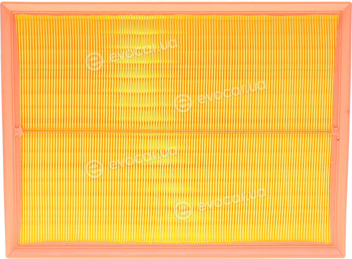 Borsehung B12404