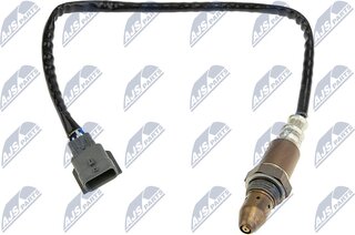 NTY ESL-NS-008