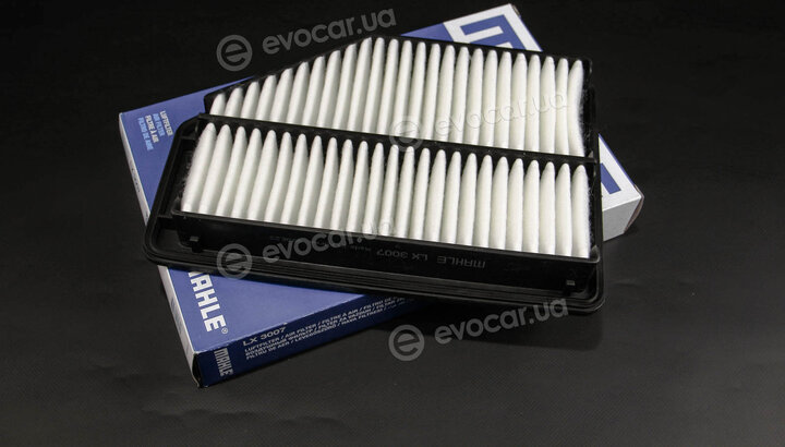 Mahle LX 3007