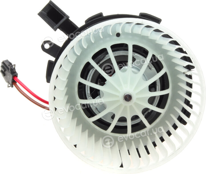 AIC 56115