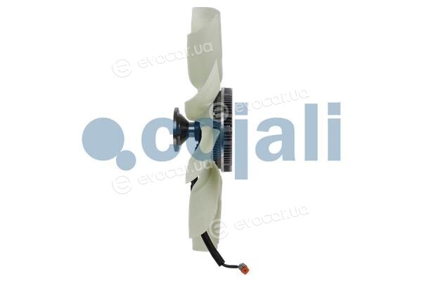 Cojali 7075417