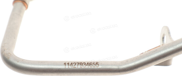 Nova 11427934655