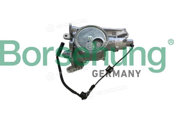 Borsehung B11900