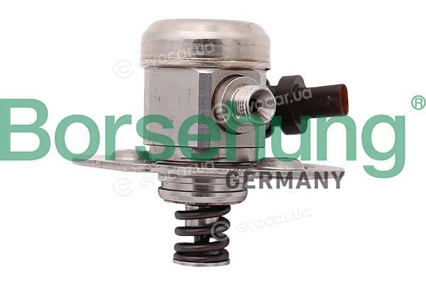 Borsehung B12557