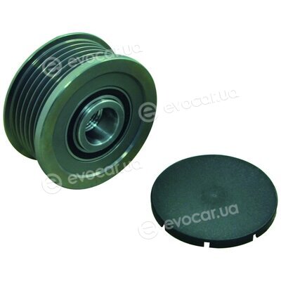 WAI 24-91321