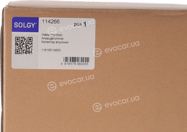 Solgy 114266