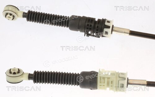 Triscan 8140 25713