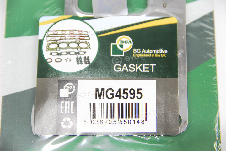 BGA MG4595