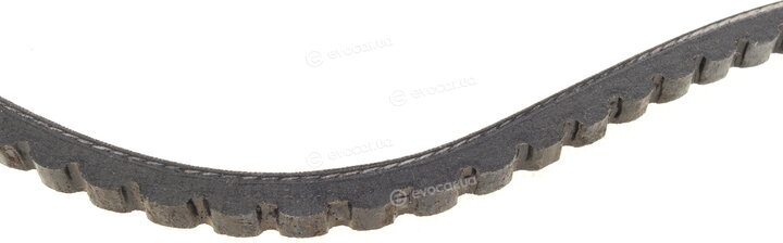 Continental AVX10X1100