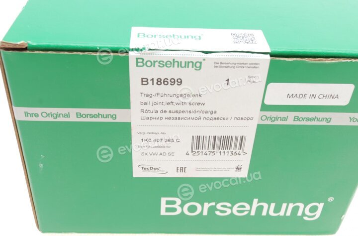 Borsehung B18699