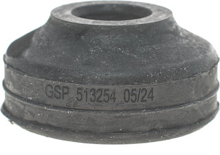 GSP 513254