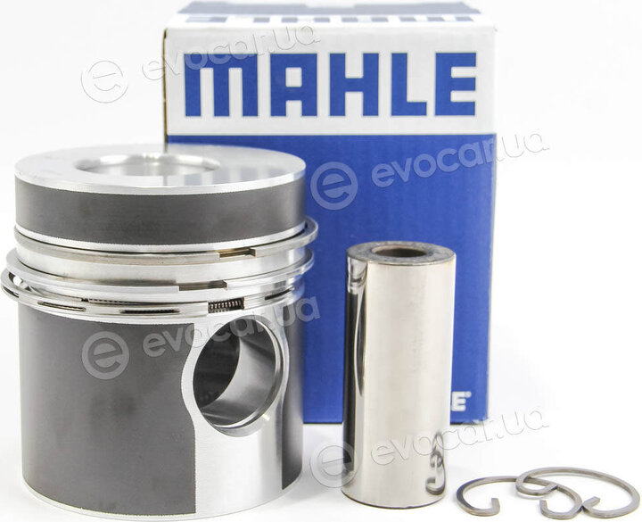 Mahle 002 80 00