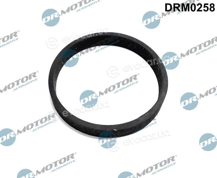 Dr. Motor DRM0258