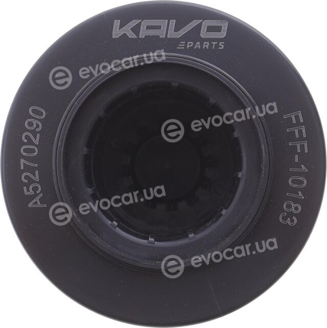 Kavo FFF-10183