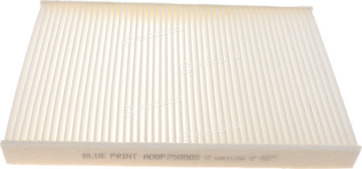 Blue Print ADBP250005