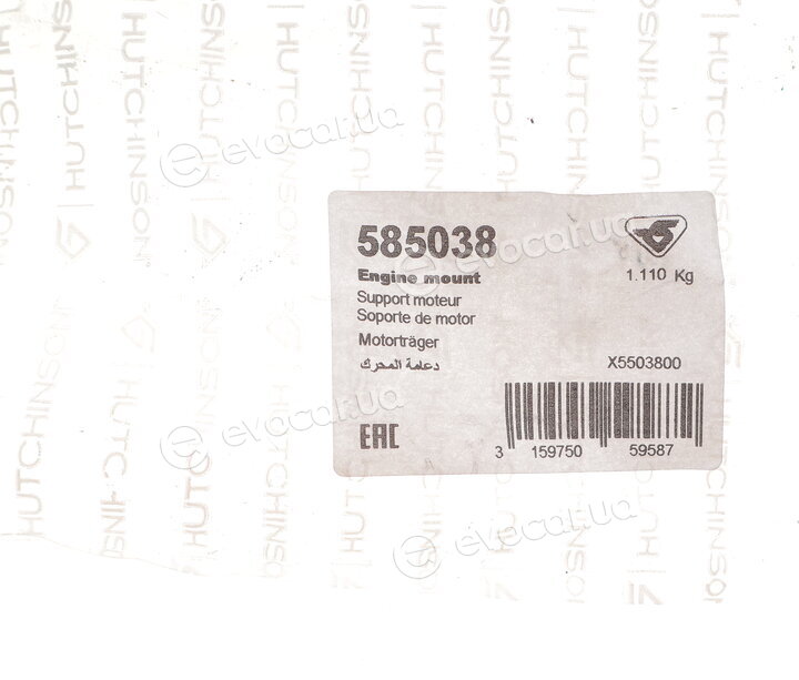 Hutchinson 585038