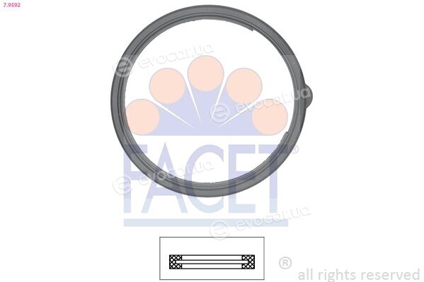 Facet 7.9592